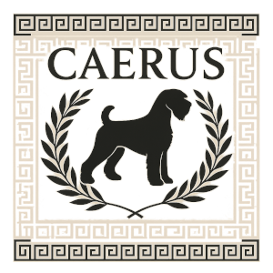 CAERUS Logo